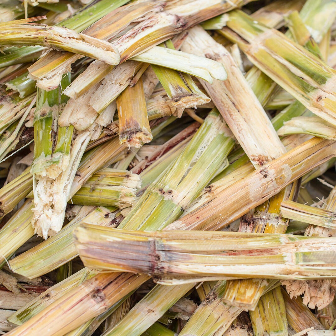 Bioenergy - converting by-product biomass waste into value