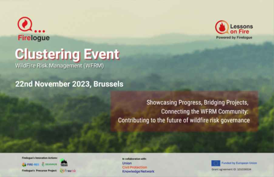 wildfire_risk management_Brussels _Cover