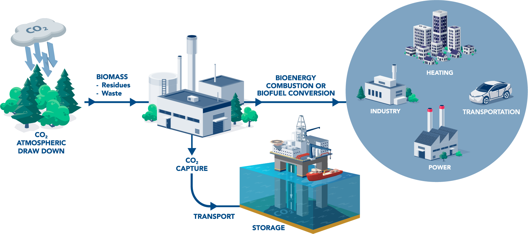 Bioenergy with Carbon Capture and Sequestration (BECCS)