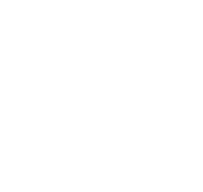 Zenit