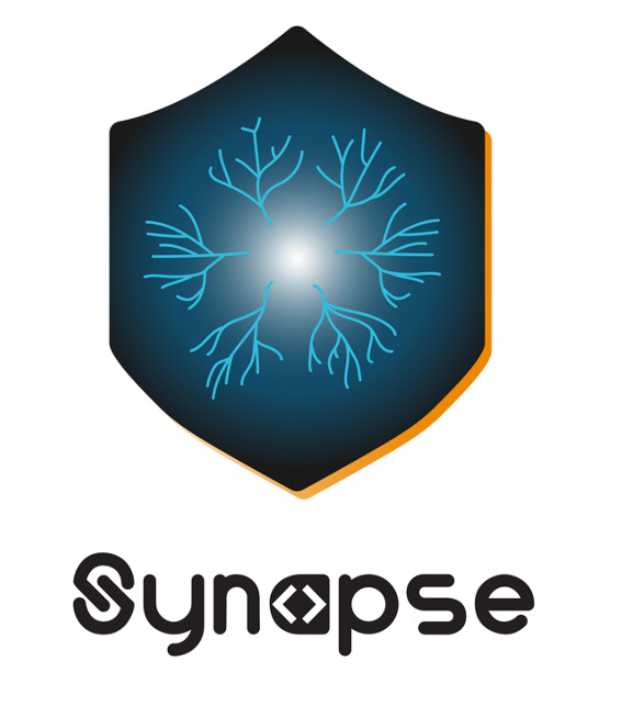 Synapse