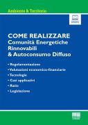 Come realizzare Comunità Energetiche Rinnovabili & Autoconsumo Diffuso