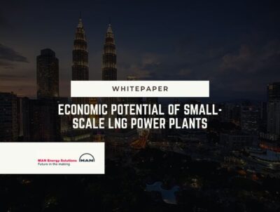 Economic Potential of Small-Scale LNG power plants